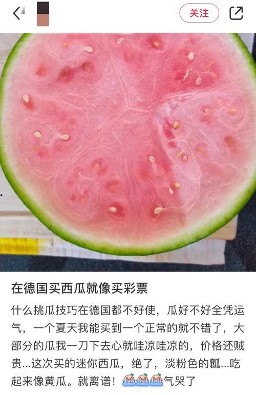 国外吃瓜有什么看,揭秘国际热点事件背后的网络围观文化